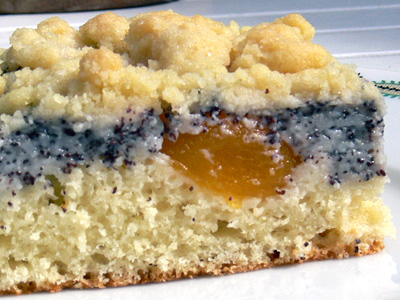 Mohn-Streusel-Aprikosenkuchen