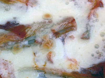 Überbackener Fenchel