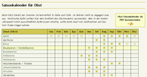 Obst-Saisonkalender