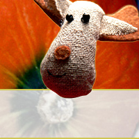 Weihnachten-Spezial: Rezepte für Plätzchen, Kekse, Gebäck, Pralinen